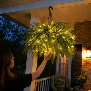 💛GlowFern – 🌿 Glowing Boston Ferns with Lights, Zero Watering, Zero Maintenance