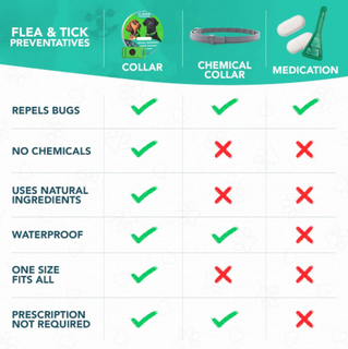 BotaniGuard – 12-Month Flea & Tick Pendant