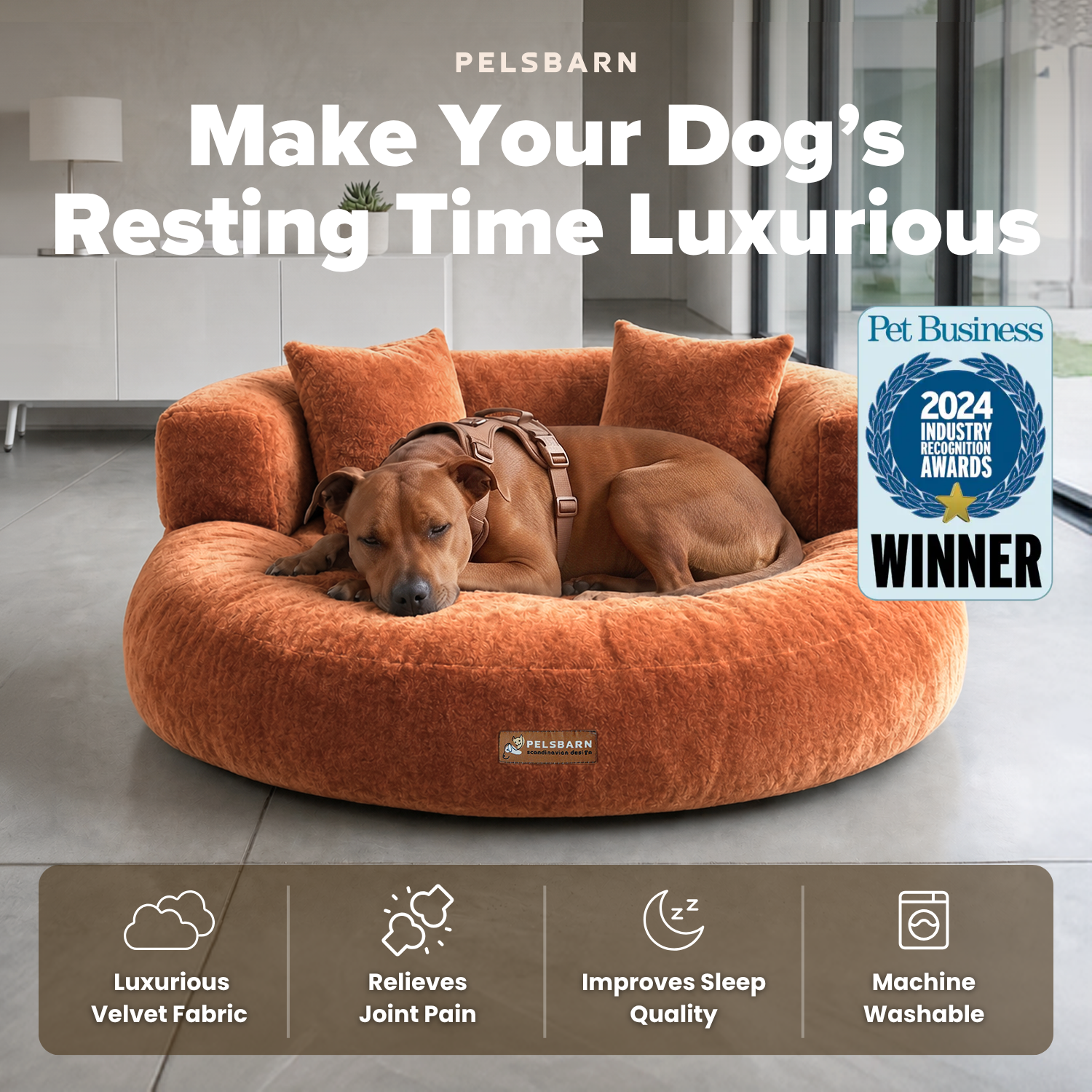 CloudNest – Orthopedic Velvet Dog Bed with Raised Bolsters