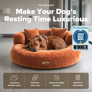 CloudNest – Orthopedic Velvet Dog Bed with Raised Bolsters