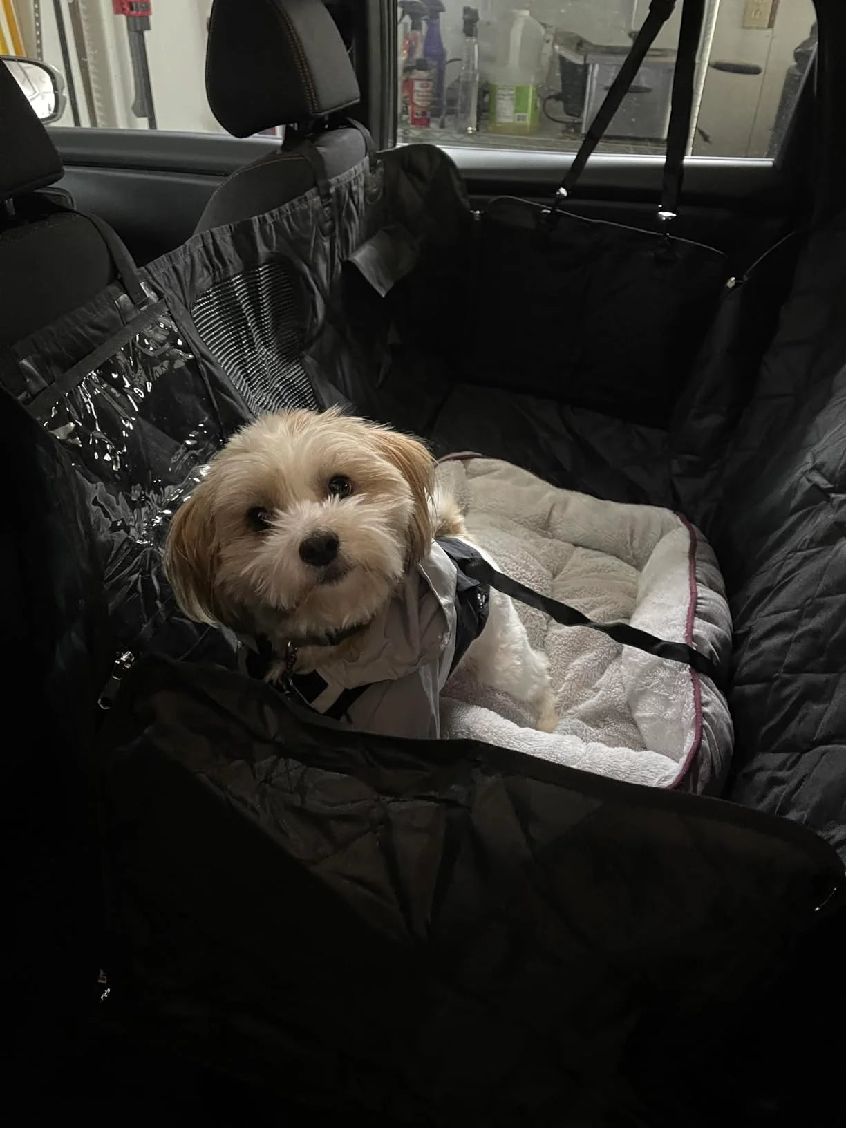 PawDeck – Hard-Bottom Backseat Extender for Dogs