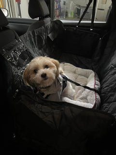 PawDeck – Hard-Bottom Backseat Extender for Dogs