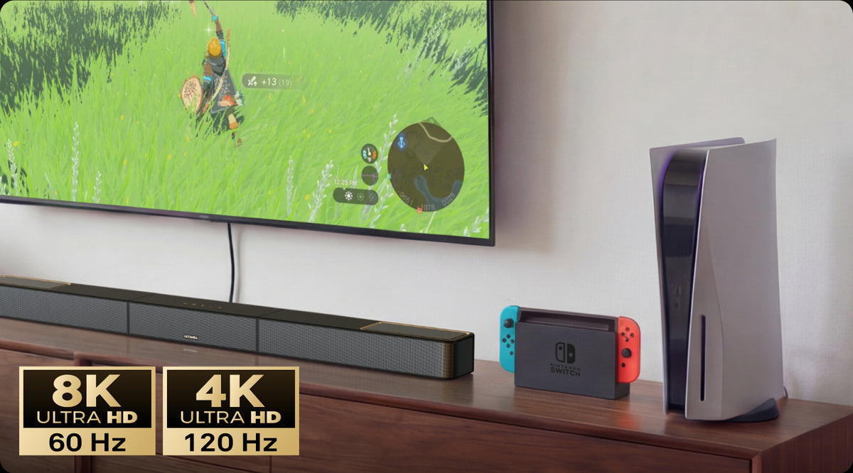 HDMI 2.1 IN