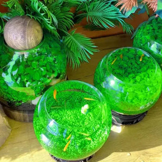 AquaCarpet – 🌿 Air-Purifying Aquatic Plant Seeds for Fish Tanks
