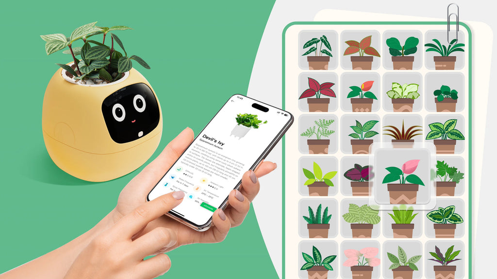 PlantsIO