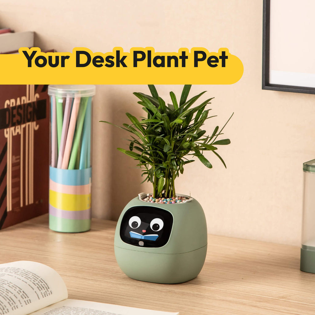 IvyBuddy – Gen 2 Interactive Smart Plant Pet & Relaxing Desk Companion