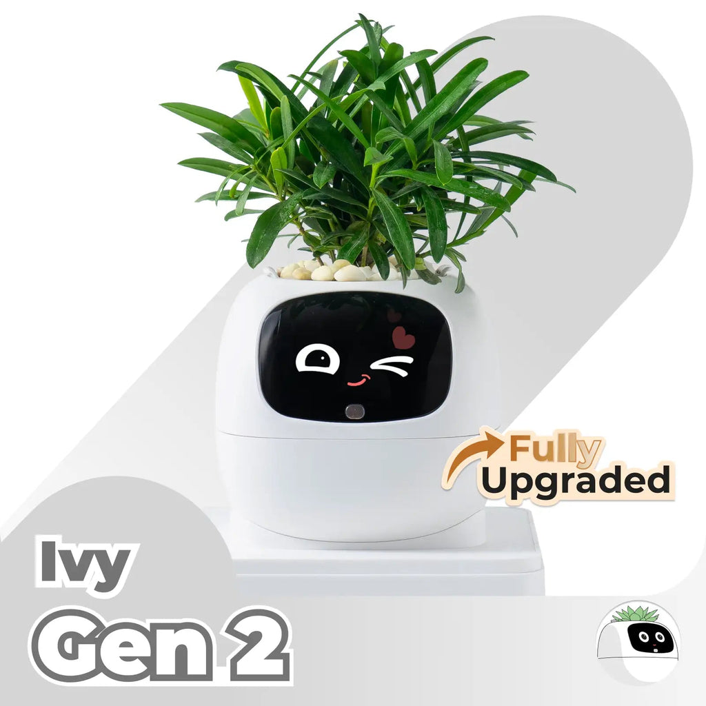IvyBuddy – Gen 2 Interactive Smart Plant Pet & Relaxing Desk Companion