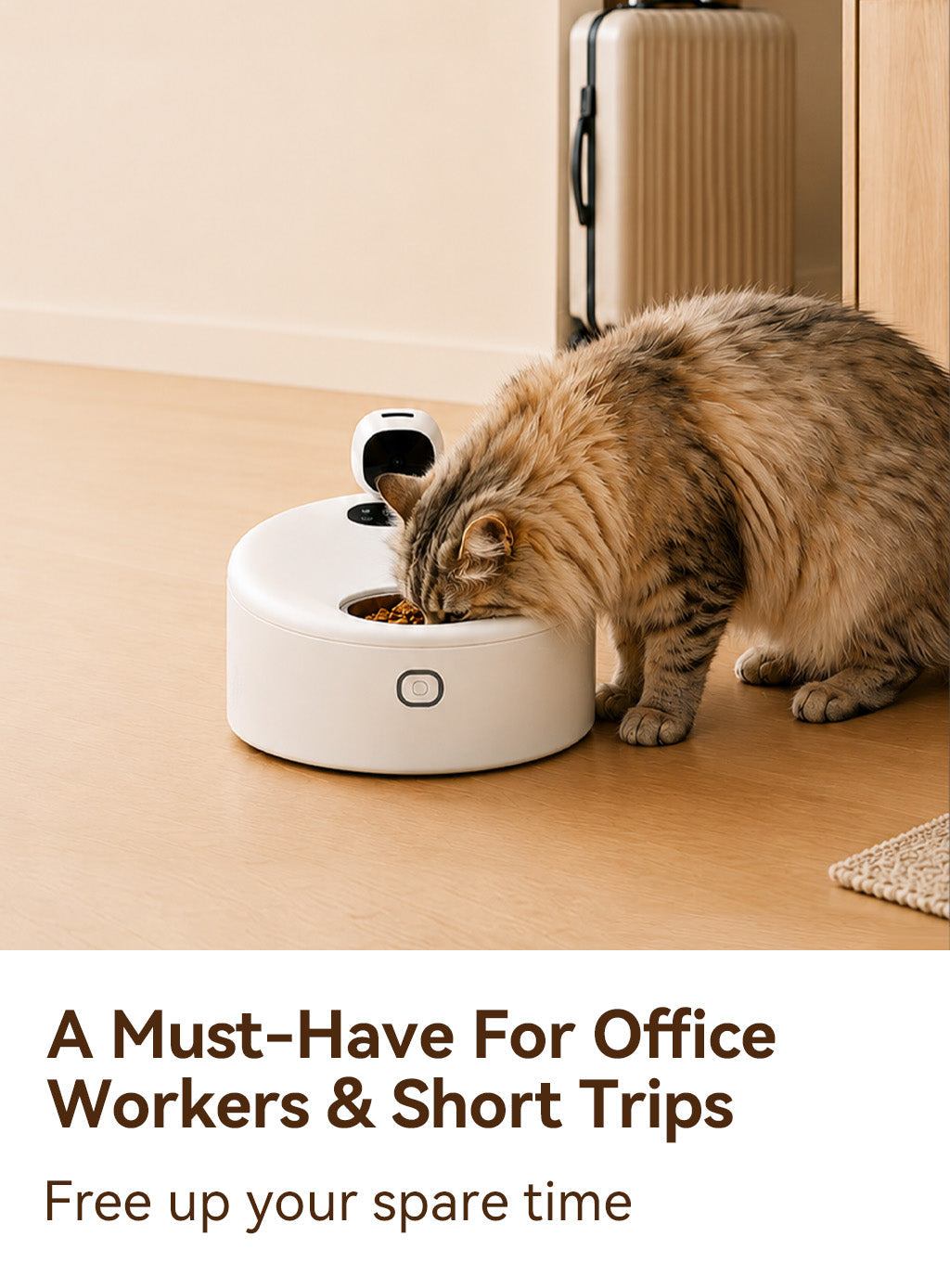 MealChill – Smart Wet Food Feeder with Camera