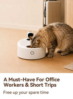 MealChill – Smart Wet Food Feeder with Camera