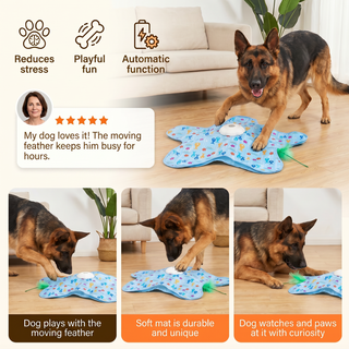 Dog owners rate the HuntingFun Dog Pro five stars — dogs play with the moving feather for hours