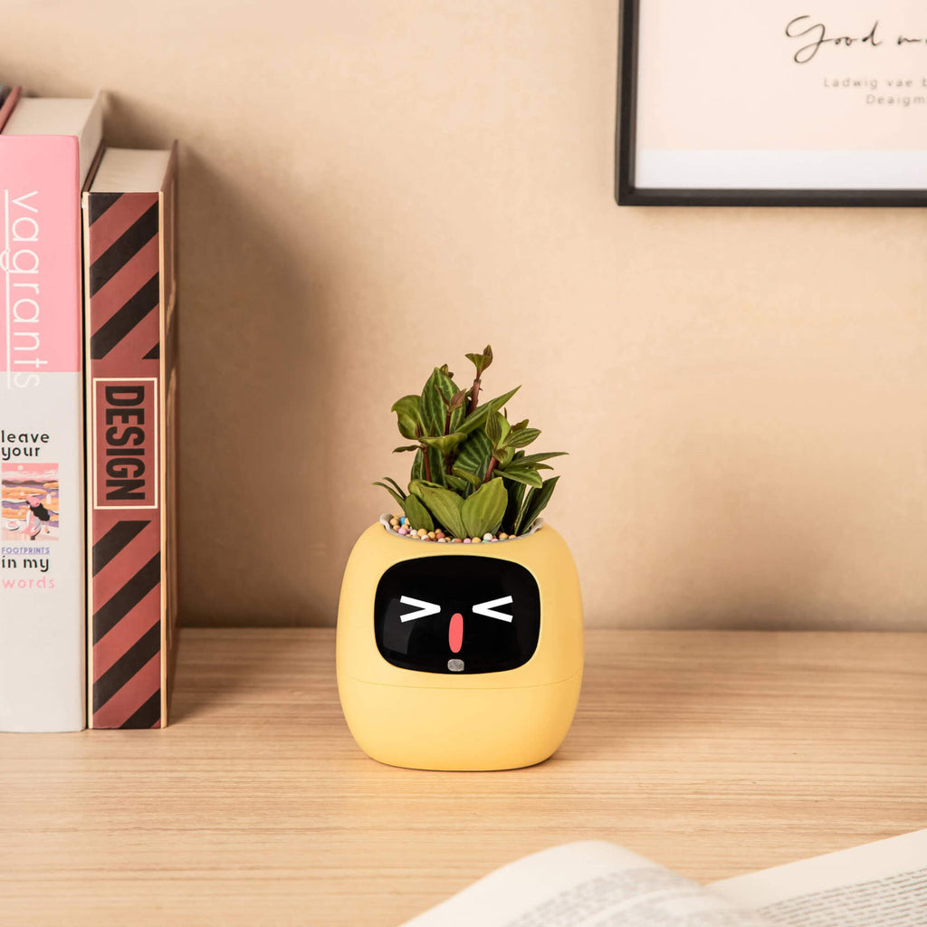 IvyBuddy – Gen 2 Interactive Smart Plant Pet & Relaxing Desk Companion