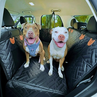 PawDeck – Hard-Bottom Backseat Extender for Dogs