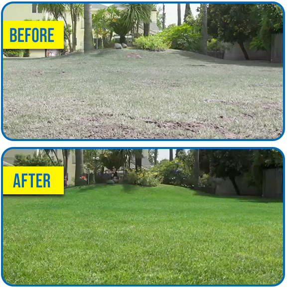 LawnRevive – Spray-On Grass Seed & Fertilizer Kit with Hose-End Sprayer