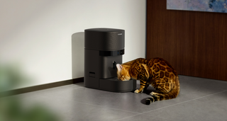 MealSense – Smart Cat Feeder with Gram-Precise Intake Tracking