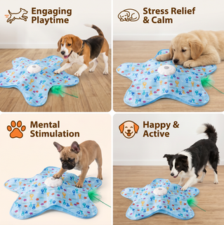 PounceMat – Interactive Moving-Feather Dog Toy