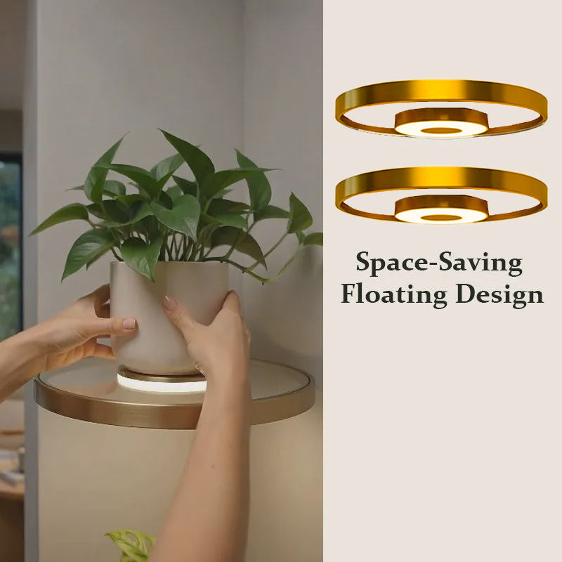 LumaShelf – Floating Gold Plant Shelf with Ambient LED Light