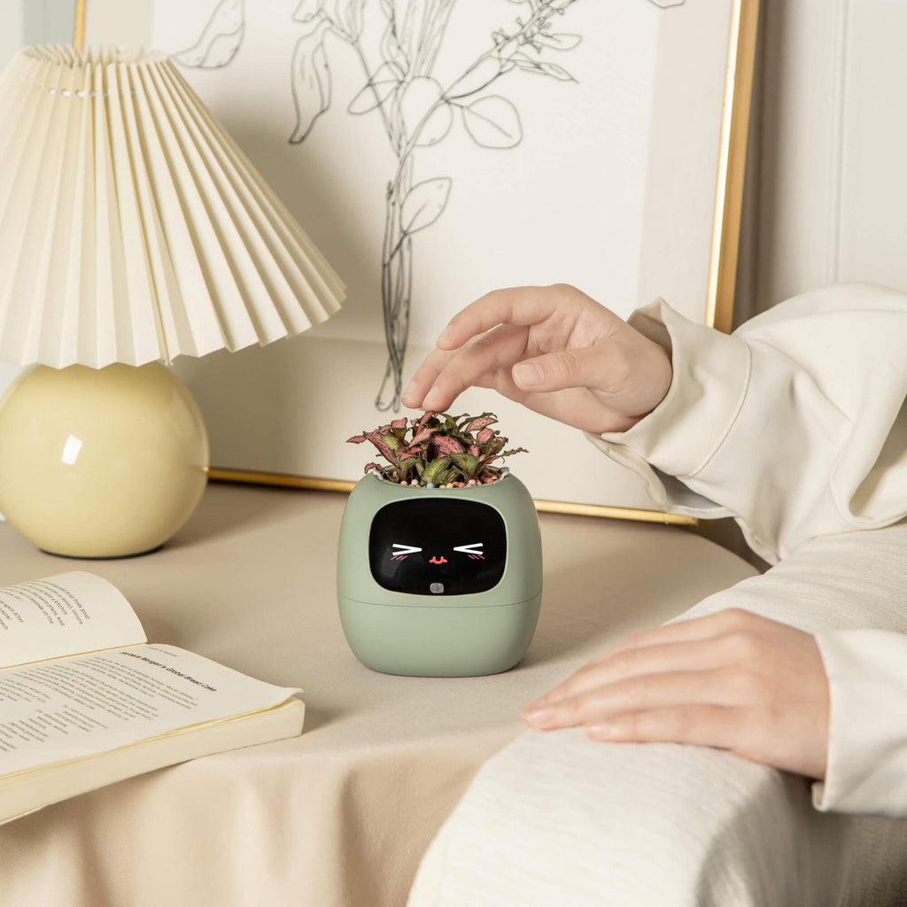 IvyBuddy – Gen 2 Interactive Smart Plant Pet & Relaxing Desk Companion