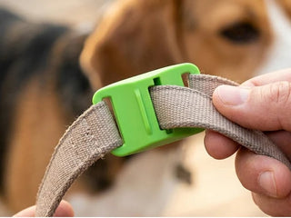BotaniGuard – 12-Month Flea & Tick Pendant