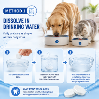 SipSmile – Dental Care Effervescent Tablets for Dogs & Cats