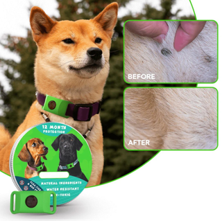 BotaniGuard – 12-Month Flea & Tick Pendant