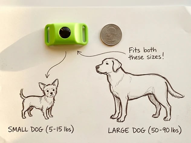 BotaniGuard – 12-Month Flea & Tick Pendant