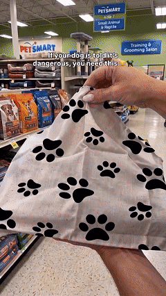 FangFright – 🎃🔥🐶 Hell Hound Monster Dog Muzzle