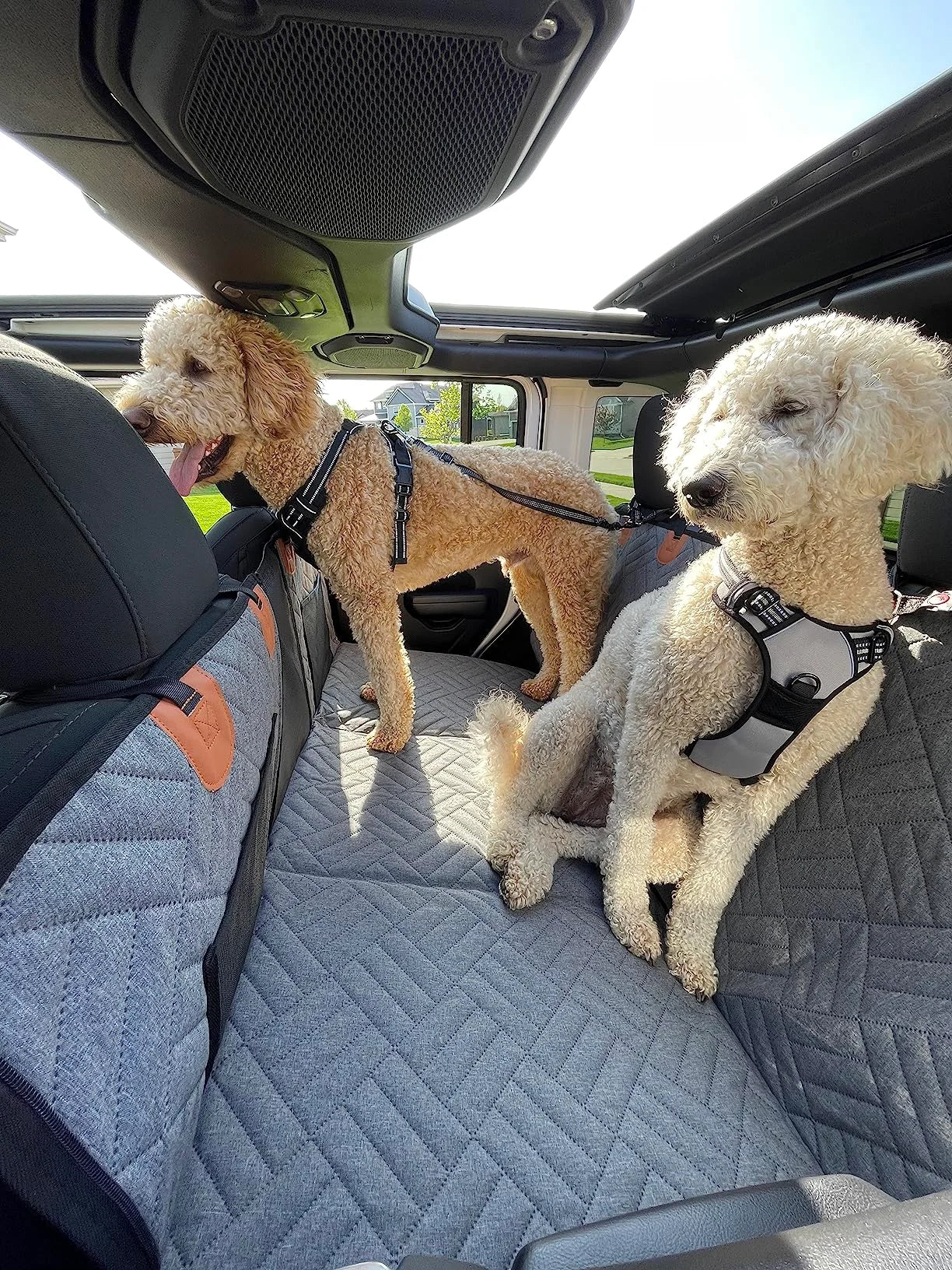 PawDeck – Hard-Bottom Backseat Extender for Dogs