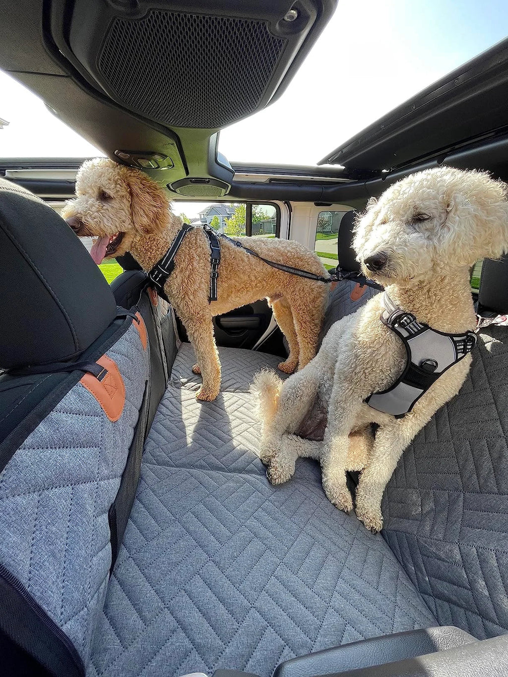 PawDeck – Hard-Bottom Backseat Extender for Dogs