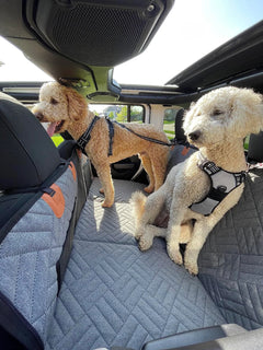 PawDeck – Hard-Bottom Backseat Extender for Dogs
