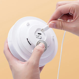 PounceMat – Interactive Moving-Feather Dog Toy