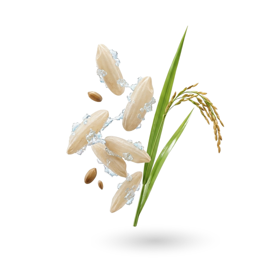 Sodium Phytate