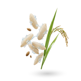 Sodium Phytate