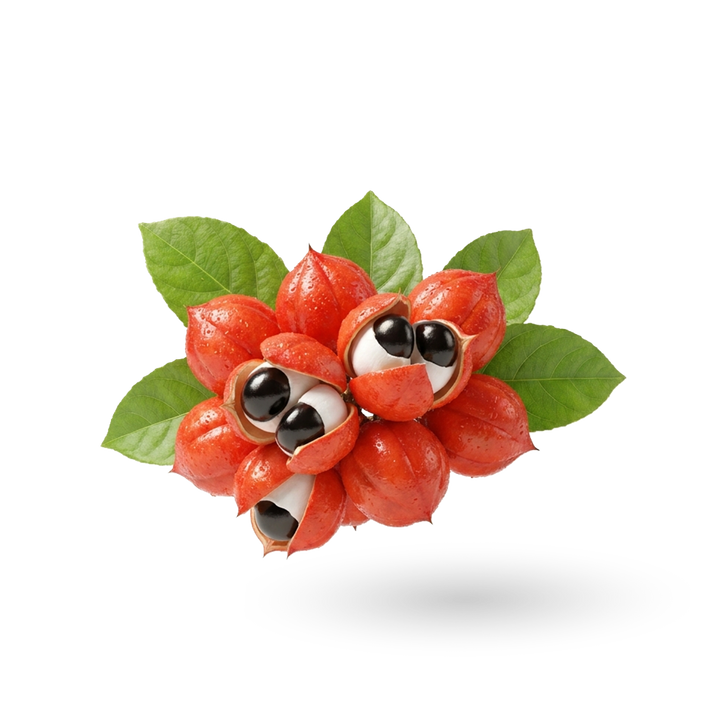 Guarana Extract