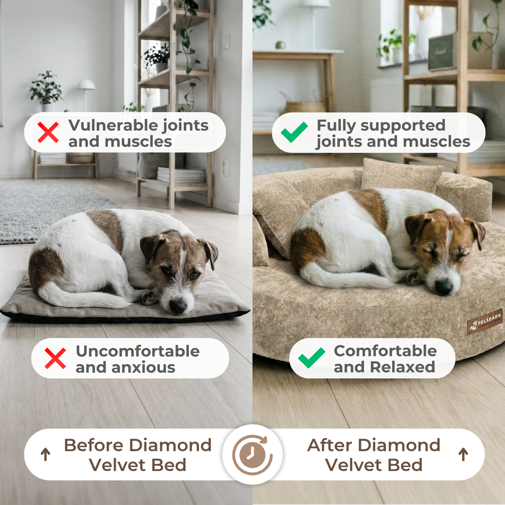 CloudNest – Orthopedic Velvet Dog Bed with Raised Bolsters