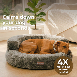 CloudNest – Orthopedic Velvet Dog Bed with Raised Bolsters
