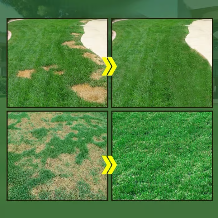 LawnRevive – Spray-On Grass Seed & Fertilizer Kit with Hose-End Sprayer