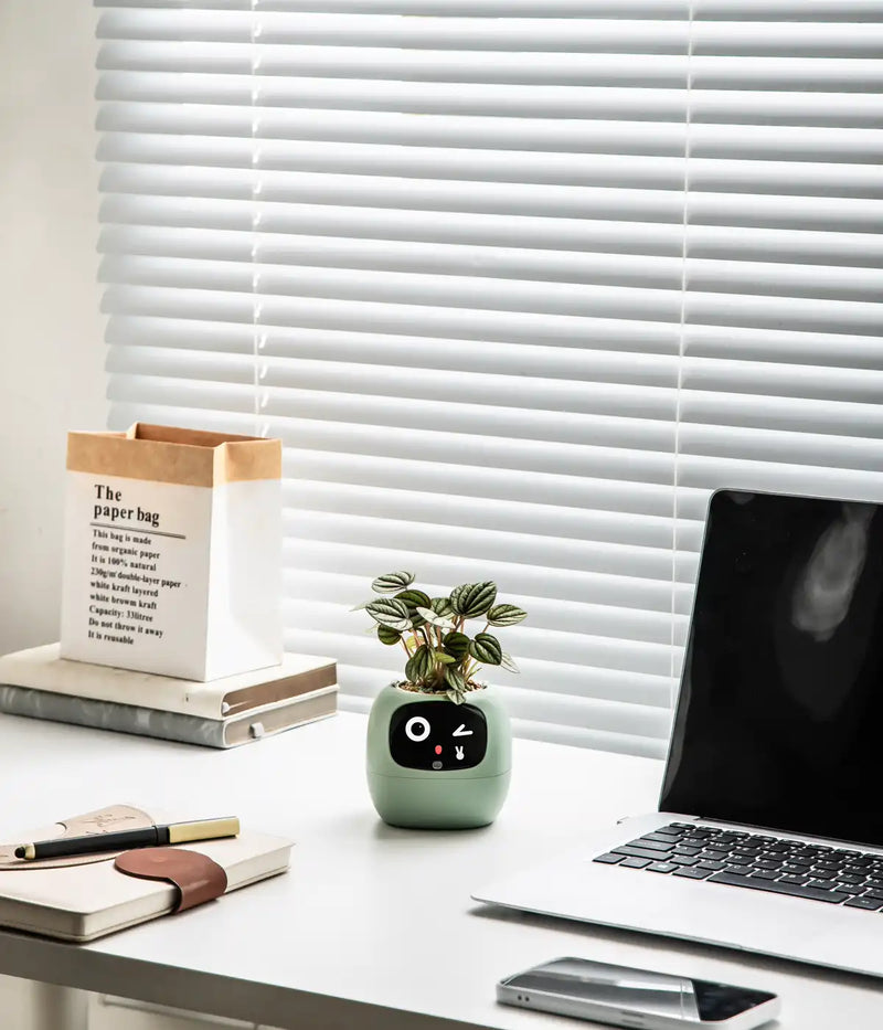 IvyBuddy – Gen 2 Interactive Smart Plant Pet & Relaxing Desk Companion