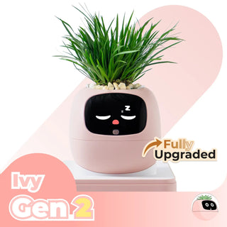 IvyBuddy – Gen 2 Interactive Smart Plant Pet & Relaxing Desk Companion