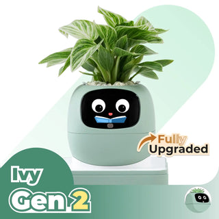 IvyBuddy – Gen 2 Interactive Smart Plant Pet & Relaxing Desk Companion