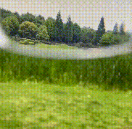 🔥StarryFocus – Gypsophila Smart Zoom and Colour-Changing Reading Glasses