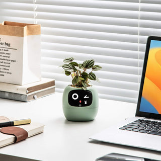 IvyBuddy – Gen 2 Interactive Smart Plant Pet & Relaxing Desk Companion