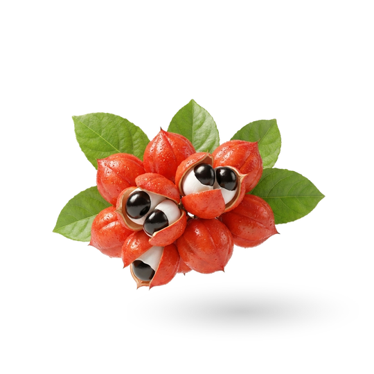 Guarana Extract