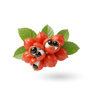 Guarana Extract