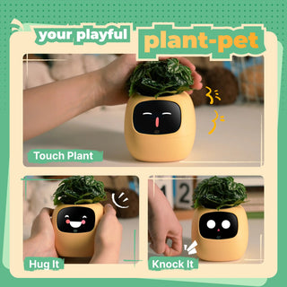 IvyBuddy – Gen 2 Interactive Smart Plant Pet & Relaxing Desk Companion
