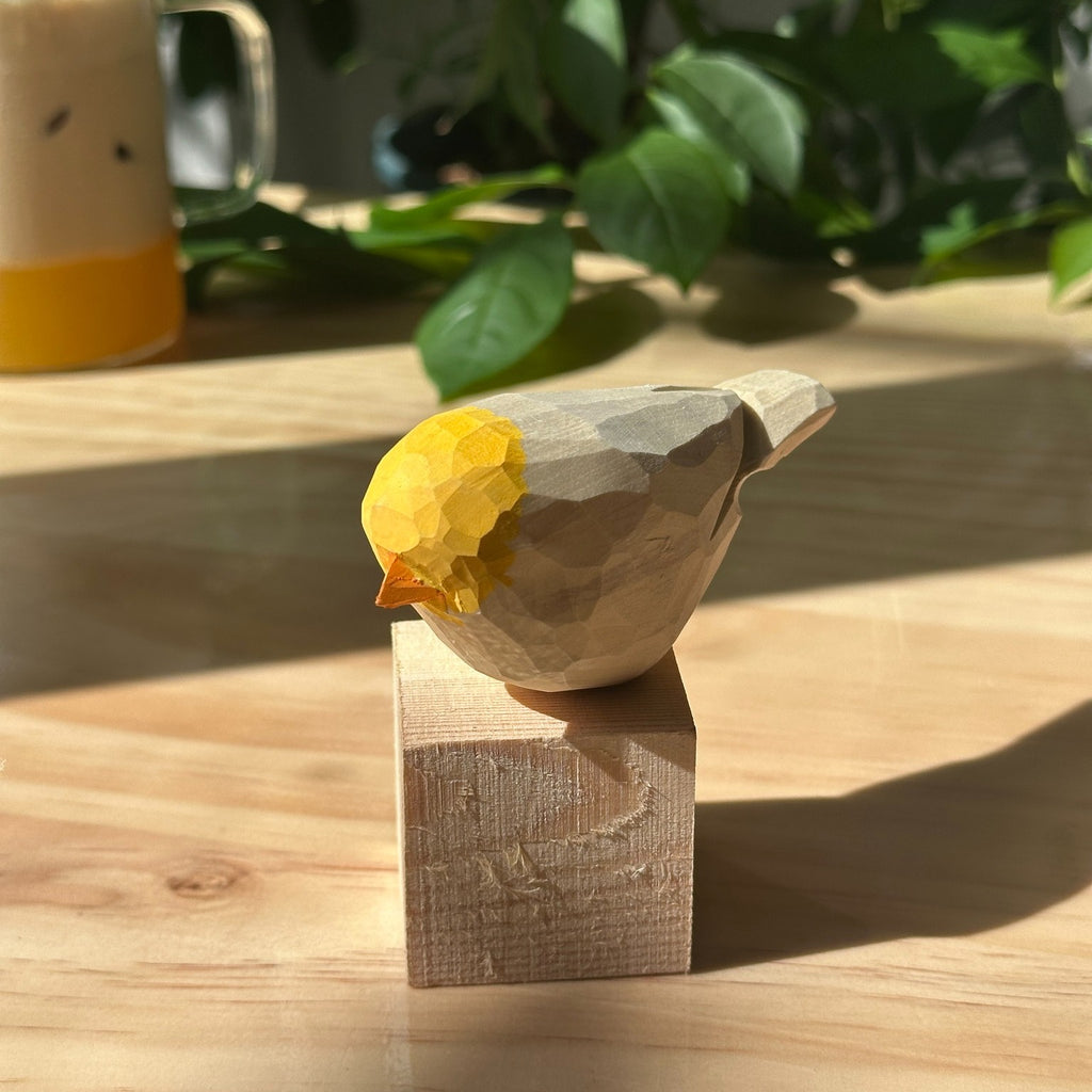 Instagram post with the caption: Wait—look at the sunlight catching that real wood grain… ☀️🐦
Ev...