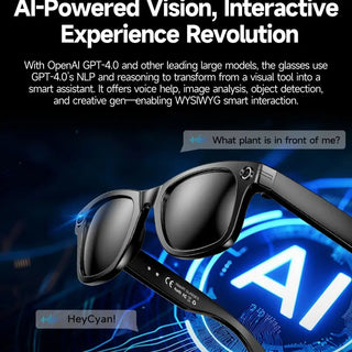 LinguaLens – Smart AI Camera & Real-Time Translation Bluetooth Glasses