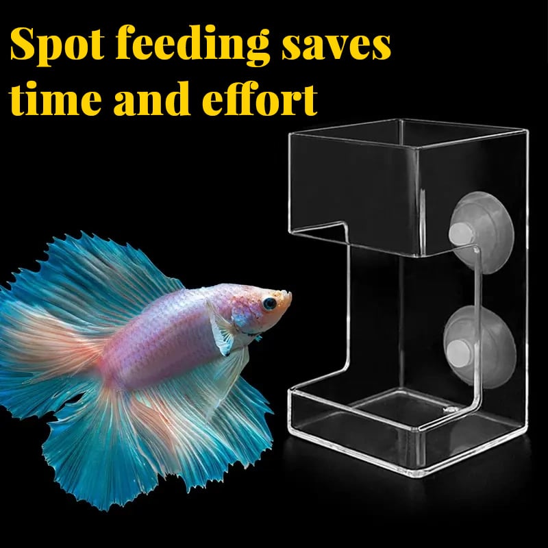 FeedDock – Clear Aquarium Feeding Ring and Tray with Suction Cups