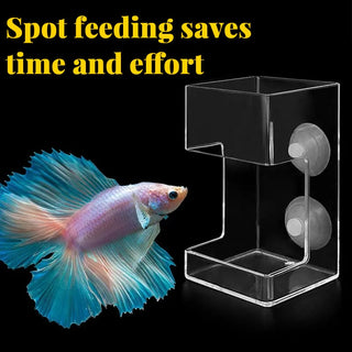 FeedDock – Clear Aquarium Feeding Ring and Tray with Suction Cups