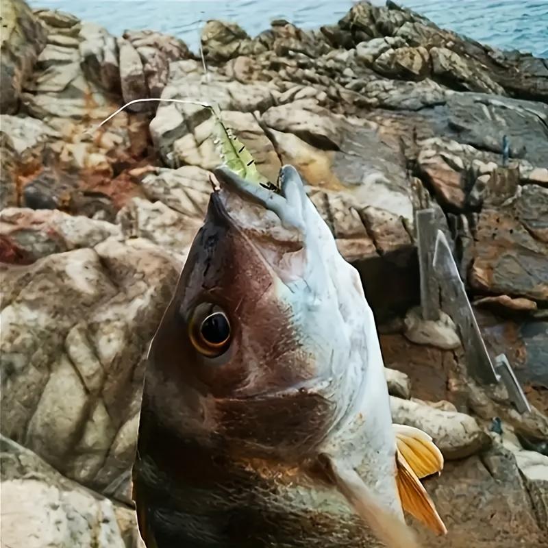 🦐 ShrimpSnap – 1.5-Inch (3.8 cm) Realistic Soft Fishing Lures