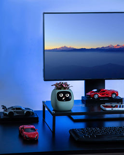 IvyBuddy – Gen 2 Interactive Smart Plant Pet & Relaxing Desk Companion